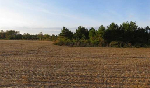 Photo of SOLD!!! 92 Acres of Farm and Residential Land for Sale in Sampson County NC!