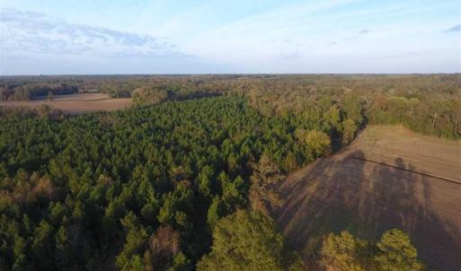Photo of SOLD!!! 92 Acres of Farm and Residential Land for Sale in Sampson County NC!