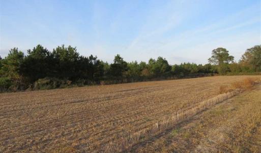 Photo of SOLD!!! 92 Acres of Farm and Residential Land for Sale in Sampson County NC!