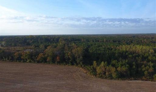 Photo of SOLD!!! 92 Acres of Farm and Residential Land for Sale in Sampson County NC!