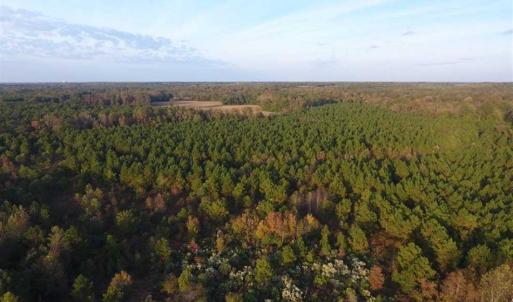 Photo of SOLD!!! 92 Acres of Farm and Residential Land for Sale in Sampson County NC!