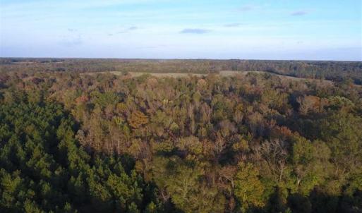 Photo of SOLD!!! 92 Acres of Farm and Residential Land for Sale in Sampson County NC!