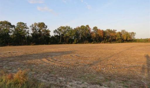 Photo of SOLD!!! 92 Acres of Farm and Residential Land for Sale in Sampson County NC!