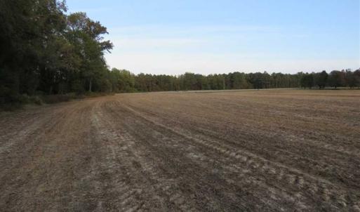 Photo of SOLD!!  22.5 Acres of Farm and Residential Land for Sale in Sampson County NC!
