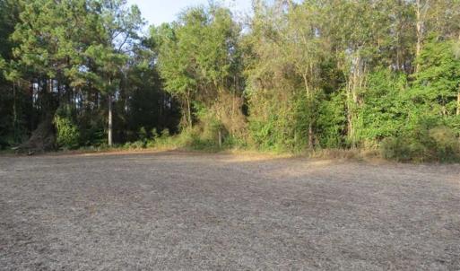 Photo of SOLD!!  22.5 Acres of Farm and Residential Land for Sale in Sampson County NC!