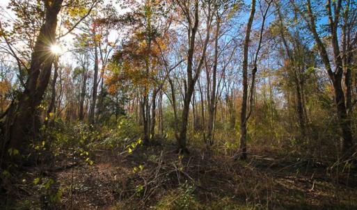 Photo of SOLD!!  65 Acres of Hunting Land with Home For Sale in Hyde County NC!