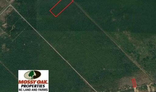 Photo of SOLD!!  65 Acres of Hunting Land with Home For Sale in Hyde County NC!