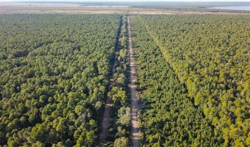 Photo of SOLD!!  65 Acres of Hunting Land with Home For Sale in Hyde County NC!