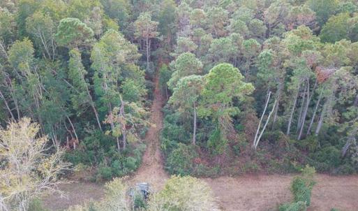 Photo of SOLD!!  65 Acres of Hunting Land with Home For Sale in Hyde County NC!