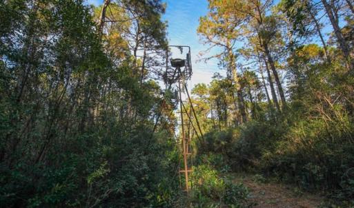 Photo of SOLD!!  65 Acres of Hunting Land with Home For Sale in Hyde County NC!