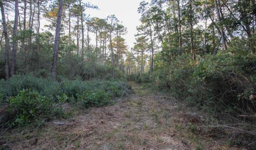 Photo of SOLD!!  65 Acres of Hunting Land with Home For Sale in Hyde County NC!