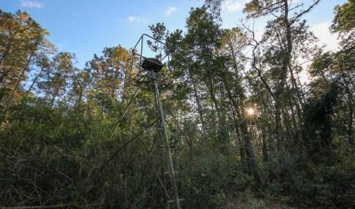 Photo of SOLD!!  65 Acres of Hunting Land with Home For Sale in Hyde County NC!