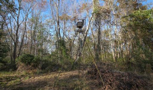 Photo of SOLD!!  65 Acres of Hunting Land with Home For Sale in Hyde County NC!