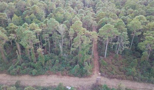 Photo of SOLD!!  65 Acres of Hunting Land with Home For Sale in Hyde County NC!