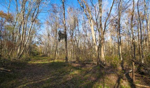 Photo of SOLD!!  65 Acres of Hunting Land with Home For Sale in Hyde County NC!