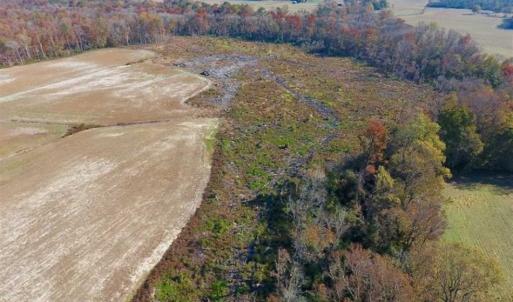 Photo of SOLD!!  33.62 Acres of Farm and Hunting Land For Sale in Craven County NC!