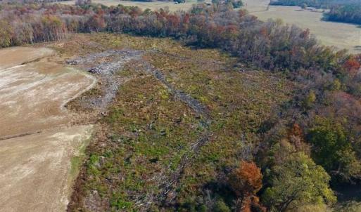 Photo of SOLD!!  33.62 Acres of Farm and Hunting Land For Sale in Craven County NC!