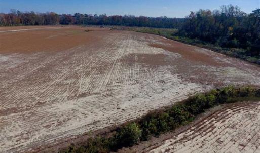 Photo of SOLD!!  33.62 Acres of Farm and Hunting Land For Sale in Craven County NC!