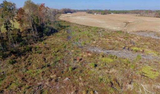Photo of SOLD!!  33.62 Acres of Farm and Hunting Land For Sale in Craven County NC!