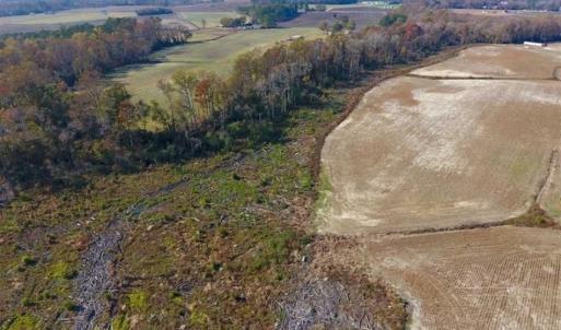 Photo of SOLD!!  33.62 Acres of Farm and Hunting Land For Sale in Craven County NC!