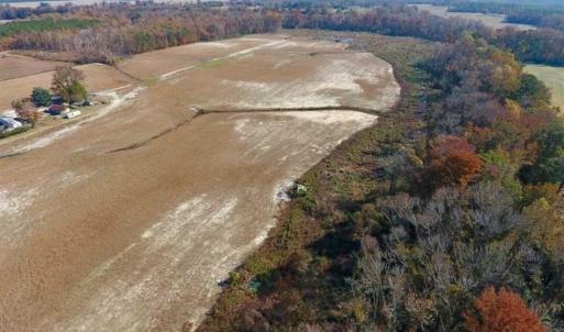 Photo of SOLD!!  33.62 Acres of Farm and Hunting Land For Sale in Craven County NC!