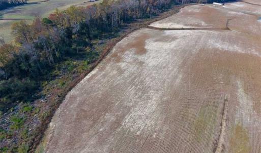 Photo of SOLD!!  33.62 Acres of Farm and Hunting Land For Sale in Craven County NC!