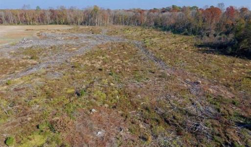 Photo of SOLD!!  33.62 Acres of Farm and Hunting Land For Sale in Craven County NC!