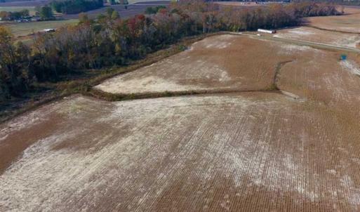 Photo of SOLD!!  33.62 Acres of Farm and Hunting Land For Sale in Craven County NC!