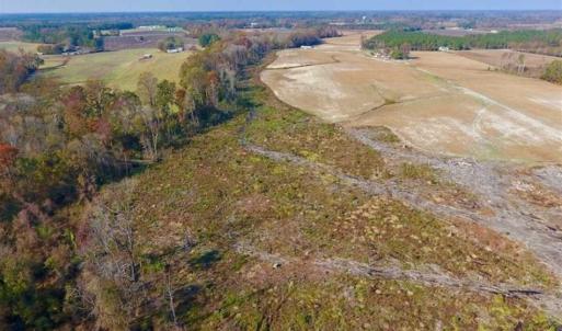Photo of SOLD!!  33.62 Acres of Farm and Hunting Land For Sale in Craven County NC!