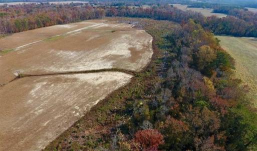Photo of SOLD!!  33.62 Acres of Farm and Hunting Land For Sale in Craven County NC!