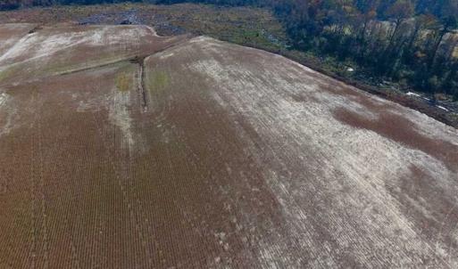 Photo of SOLD!!  33.62 Acres of Farm and Hunting Land For Sale in Craven County NC!