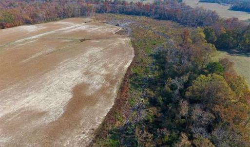 Photo of SOLD!!  33.62 Acres of Farm and Hunting Land For Sale in Craven County NC!