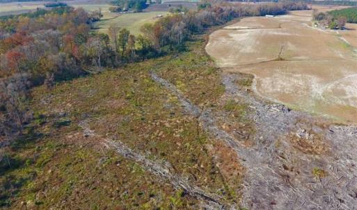 Photo of SOLD!!  33.62 Acres of Farm and Hunting Land For Sale in Craven County NC!