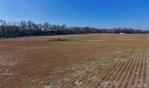 Photo of SOLD!!  33.62 Acres of Farm and Hunting Land For Sale in Craven County NC!
