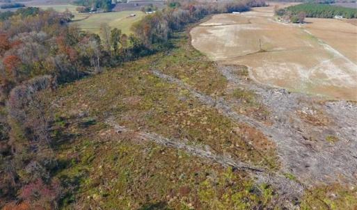 Photo of SOLD!!  33.62 Acres of Farm and Hunting Land For Sale in Craven County NC!