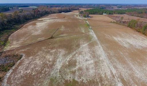 Photo of SOLD!!  33.62 Acres of Farm and Hunting Land For Sale in Craven County NC!
