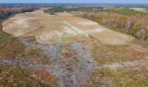 Photo of SOLD!!  33.62 Acres of Farm and Hunting Land For Sale in Craven County NC!
