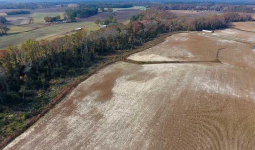 Photo of SOLD!!  33.62 Acres of Farm and Hunting Land For Sale in Craven County NC!