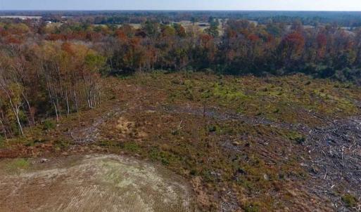 Photo of SOLD!!  17.98 Acres of Farm and Hunting Land For Sale in Craven County NC!