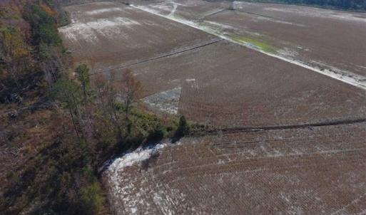 Photo of SOLD!!  17.98 Acres of Farm and Hunting Land For Sale in Craven County NC!