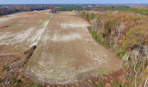 Photo of SOLD!!  17.98 Acres of Farm and Hunting Land For Sale in Craven County NC!