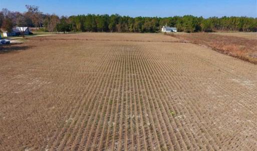 Photo of SOLD!!  17.98 Acres of Farm and Hunting Land For Sale in Craven County NC!
