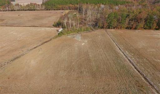 Photo of SOLD!!  17.98 Acres of Farm and Hunting Land For Sale in Craven County NC!