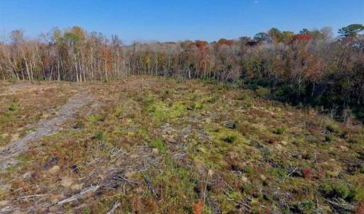 Photo of SOLD!!  17.98 Acres of Farm and Hunting Land For Sale in Craven County NC!