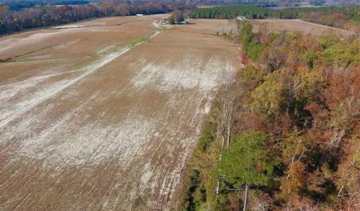 Photo of SOLD!!  17.98 Acres of Farm and Hunting Land For Sale in Craven County NC!
