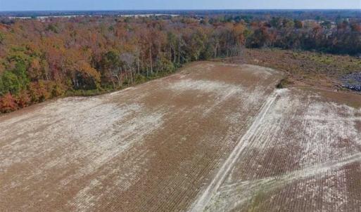 Photo of SOLD!!  17.98 Acres of Farm and Hunting Land For Sale in Craven County NC!