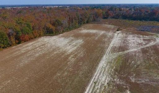 Photo of SOLD!!  17.98 Acres of Farm and Hunting Land For Sale in Craven County NC!