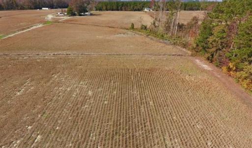 Photo of SOLD!!  17.98 Acres of Farm and Hunting Land For Sale in Craven County NC!