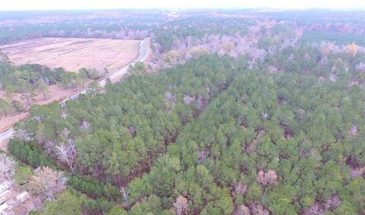 Photo of SOLD!!  10 Acres of Hunting For Sale in Accomack County VA!