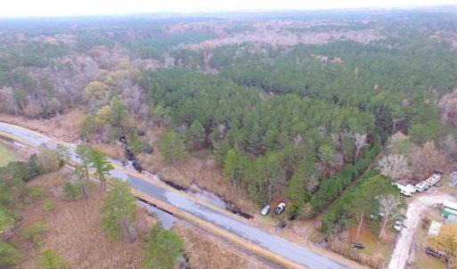 Photo of SOLD!!  10 Acres of Hunting For Sale in Accomack County VA!